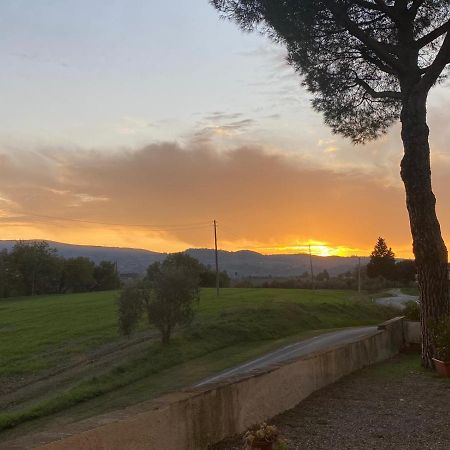 Tognazzi Casa Vacanze - La Collina Di San Gimignano Exterior foto